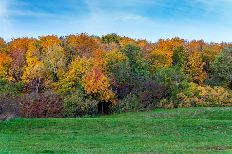 Abstract peaceful representation of spiritual transformation and rebirth