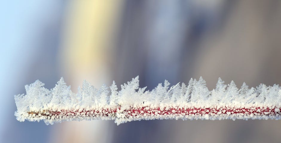 Macro shot of frosted branch showcasing intricate ice crystals in winter.